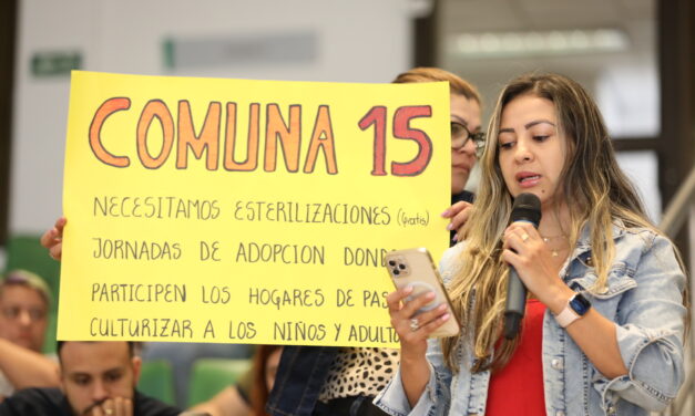 Los derechos de los animales se protegen: Concejo de Medellín