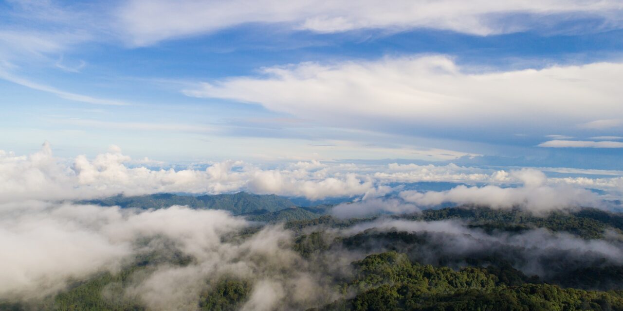 ¿Qué necesita Colombia para mitigar el cambio climático?