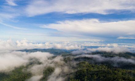 ¿Qué necesita Colombia para mitigar el cambio climático?