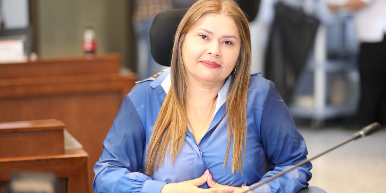«Sin salud mental no hay vida»: Concejo de Medellín
