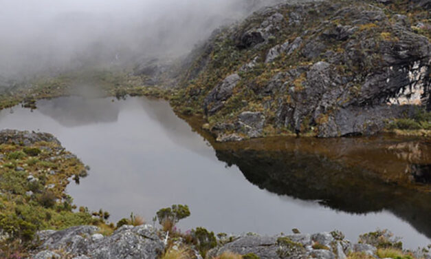 Colombia gana demanda internacional por caso Santurbán