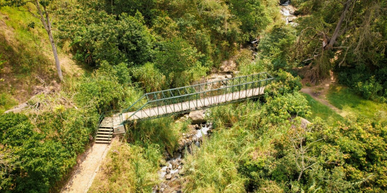 Alcaldía de Medellín estudia  traslado de 14 puentes subutilizados