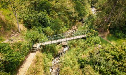 Alcaldía de Medellín estudia  traslado de 14 puentes subutilizados