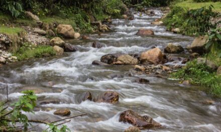 Plan Quebradas, estrategia para devolverle vida al Río Medellín