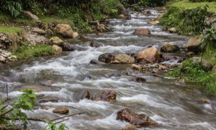 «El Río Medellín se está ahogando»: Concejo Distrital