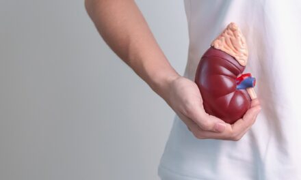 Cuide sus riñones: consejos para una vida renal saludable