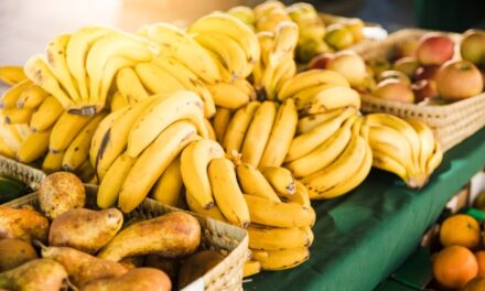 14 empresas bananeras al parecer financiaban extintas AUC
