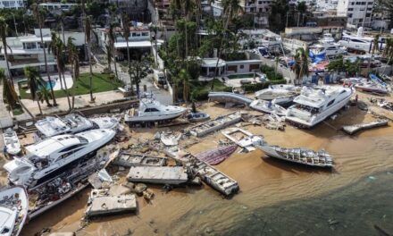 Aseguradoras cubren millonarios daños a barcos en Acapulco