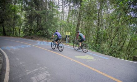 Estado vial en Antioquia para este fin de semana