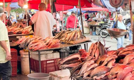 Medellín: Recomendaciones para el consumo de pescado durante Semana Santa