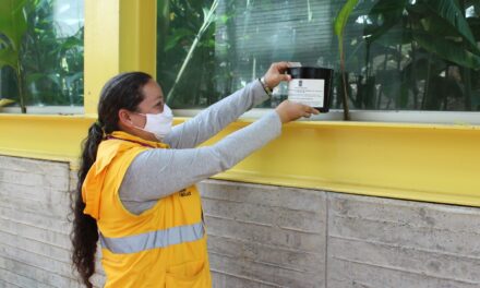 Alerta en Medellín: recomendaciones para prevenir dengue