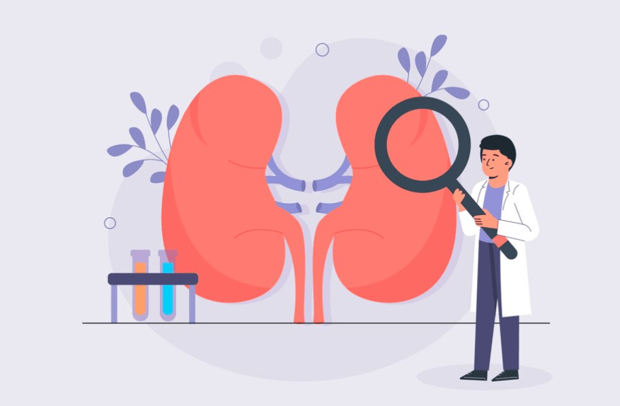 Nefroprotección: Así puede prevenir la Enfermedad Renal Crónica