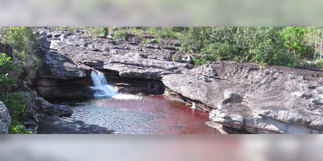 Estado gana millonaria demanda ambiental y se protege a Caño Cristales