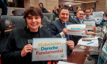 A solo seis artículos de aprobar Ley Estatutaria de Educación