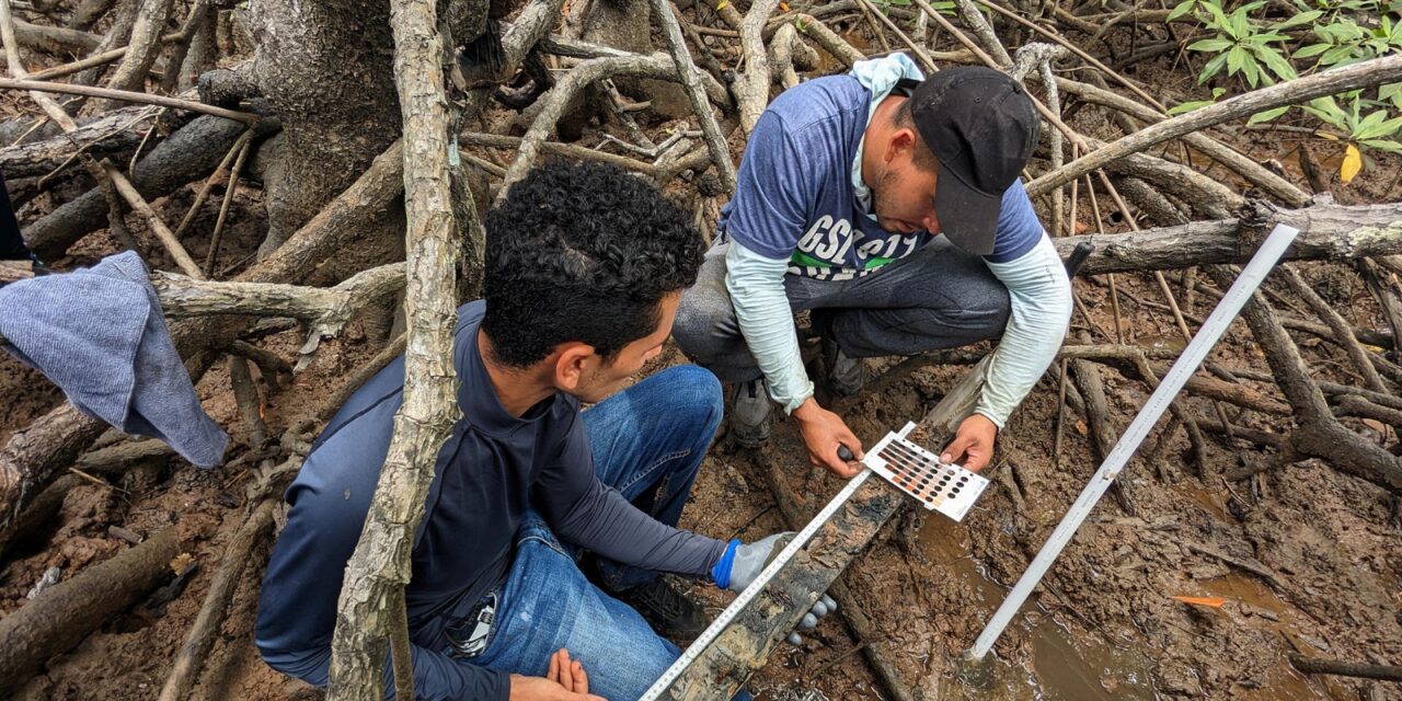 Panamá protege humedales para luchar contra el cambio climático