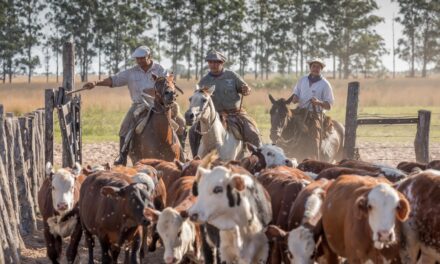 Seguridad alimentaria para evitar enfermedades fronterizas