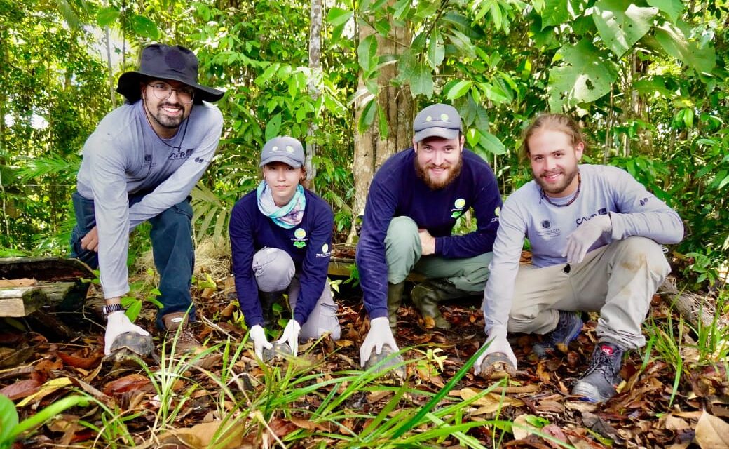 Cientos de especies regresaron a la libertad en Antioquia