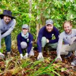 Cientos de especies regresaron a la libertad en Antioquia