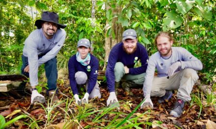 Cientos de especies regresaron a la libertad en Antioquia