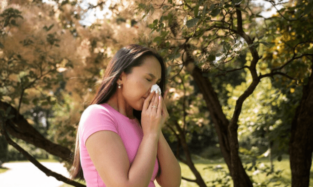 ¿Cómo combatir la alergia en una temporada de polen intensa?