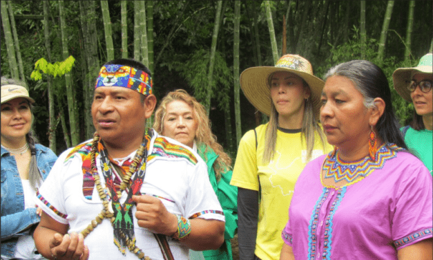 Ocelote: nueva marca de turismo sostenible por Antioquia