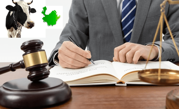 Revelan condecoración de Magistrado que decide sobre Vaca 4G de Antioquia