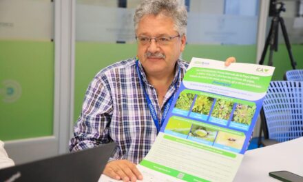 Previenen llegada de enfermedad de la papa a Antioquia