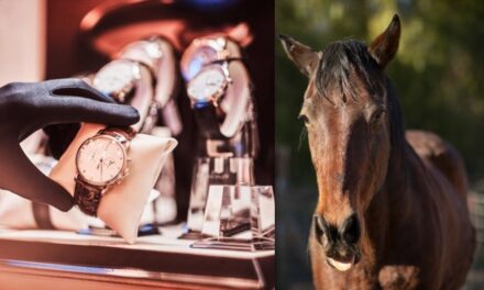 Exclusiva: ¿Rolex y caballos de la mafia antioqueña se extraviaron en la SAE?