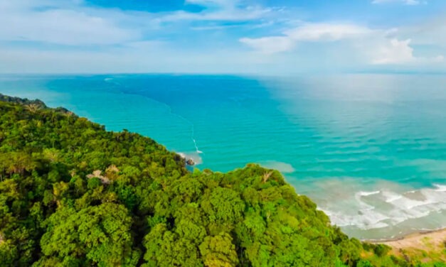 Unesco declara Darién Norte Chocoano como Reserva de Biósfera