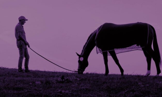 Federación Ecuestre reforzará bienestar equino en París 2024