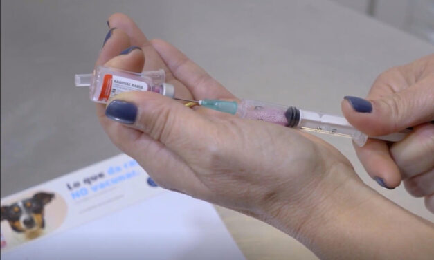 Enfermedades zoonóticas: desafío sanitario y económico global