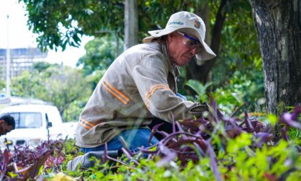 Envigado avanza en mantenimiento de sus quebradas y jardines