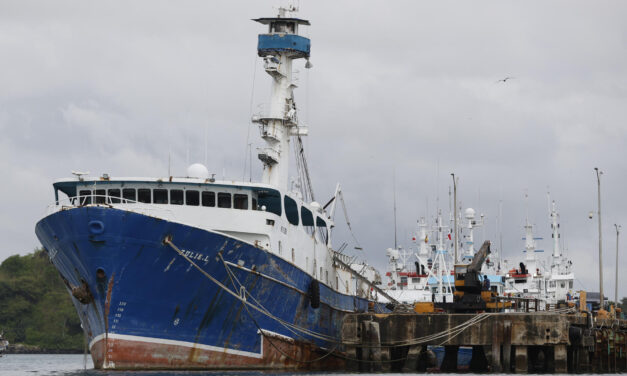 Expertos piden a ente interamericano impulsar gestión más sostenible de la pesca de atún