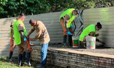 Programa piloto de resocialización: reclusos pintan a Medellín