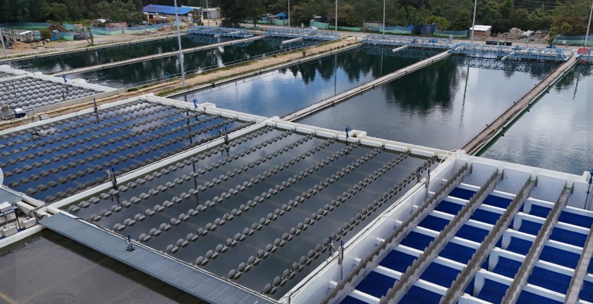 La extracción de agua por multinacionales: un análisis de sostenibilidad y costos