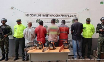 Capturados por explotación ilegal de madera en zona protegida de Cali