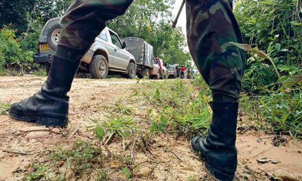Grupos armados intensifican ataques en Cúcuta, Chocó y Cauca, alerta la Defensoría
