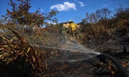 Procuraduría exige planes de contingencia en el Cesar ante incendios y sequía