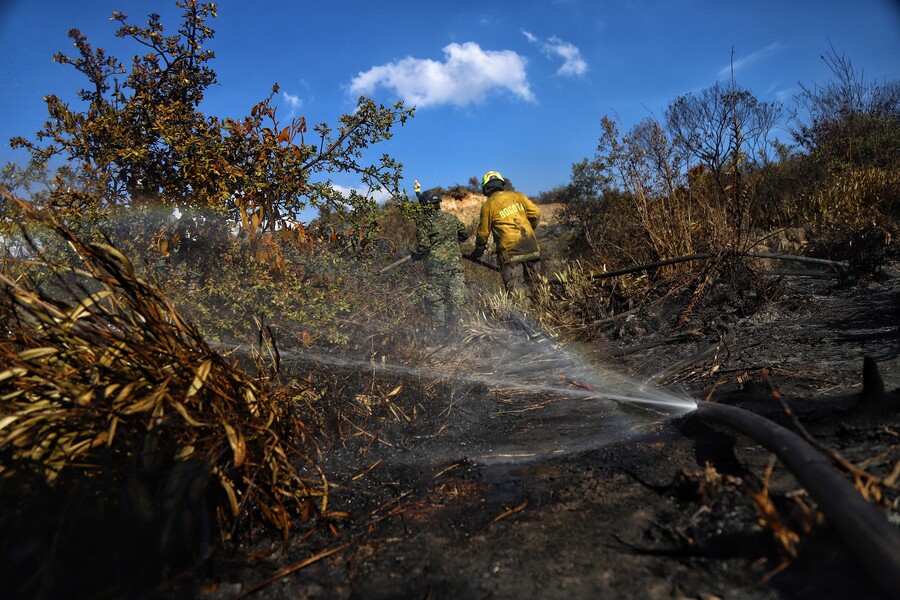 Procuraduría exige planes de contingencia en el Cesar ante incendios y sequía