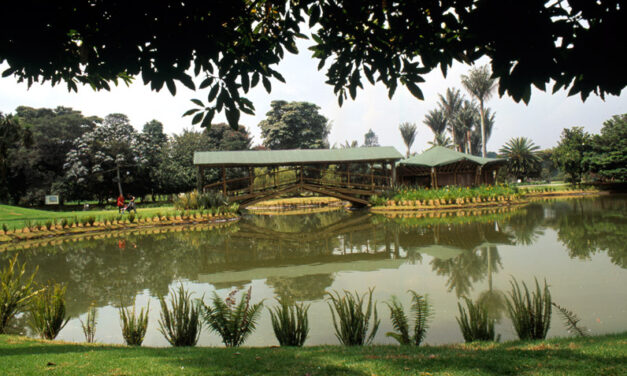 Tribunal suspende resolución ambiental que afectaba la Sabana de Bogotá