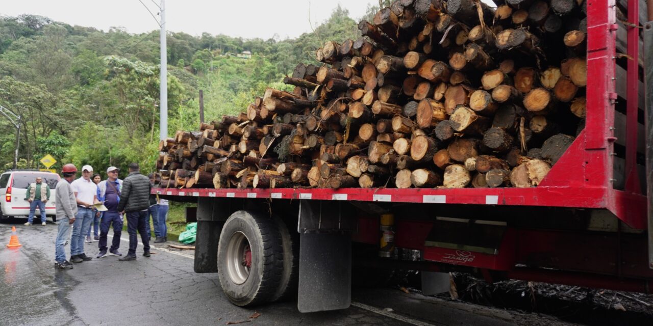 Corantioquia refuerza operativos contra el comercio de madera ilegal en Antioquia