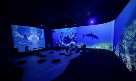 Oceánica en Medellín: Una experiencia inmersiva para conocer y proteger los océanos