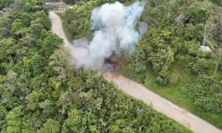 Desactivan 100 kilos de explosivos en el Micay