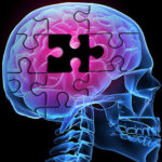 Aumentar actividad física podría proteger del Alzheimer
