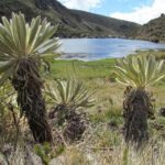 Siete años después del fallo, Santurbán sigue sin deslimitarse