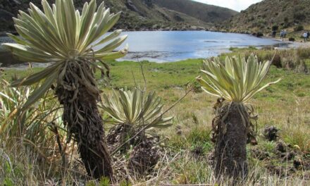 Siete años después del fallo, Santurbán sigue sin deslimitarse