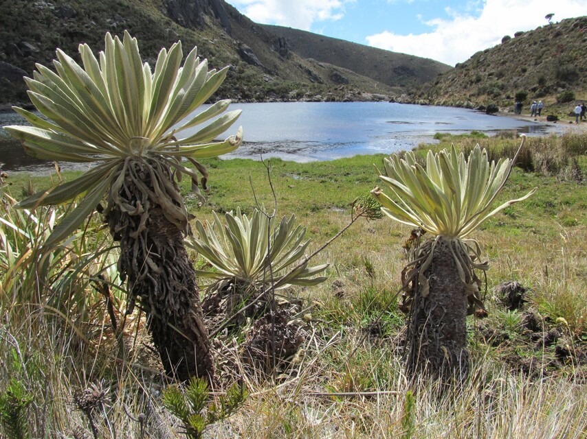 Siete años después del fallo, Santurbán sigue sin deslimitarse