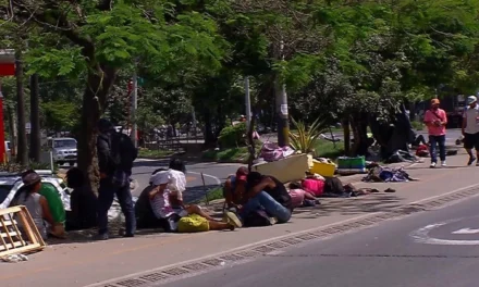 Comerciantes de Medellín alertan por aumento de cambuches