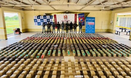 Ejército incauta más de 2 toneladas de marihuana en Casanare