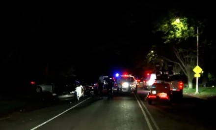 Tiroteo en parque de Filadelfia deja dos muertos y nueve heridos